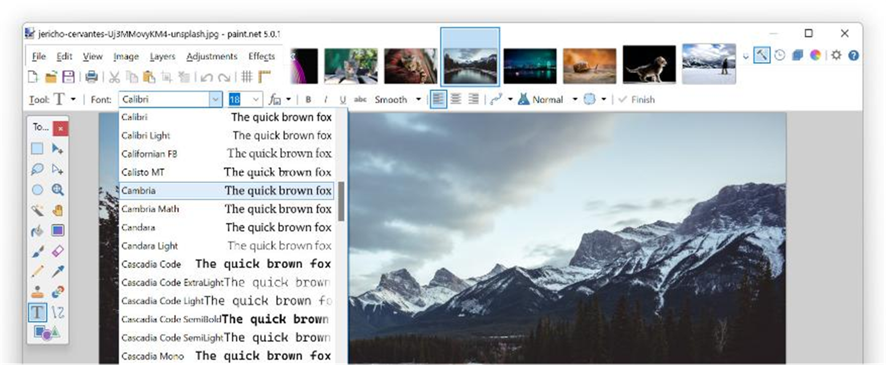 Paint.NET screenshot